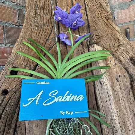 A Casa Do Rio - The River House Landsted